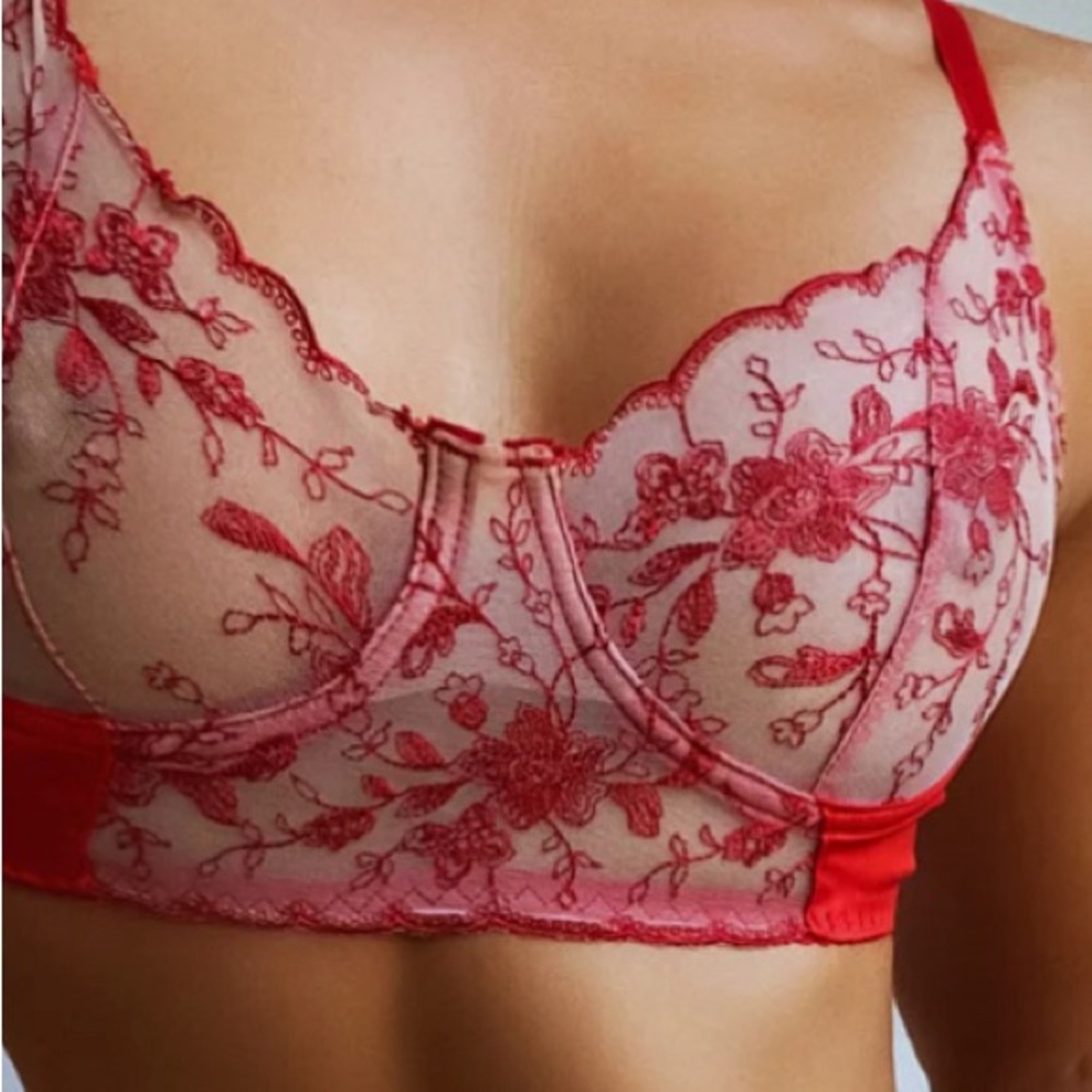 Sheer fabric intertwined with lipstick red fabric sensual bra. Cup size fits DD